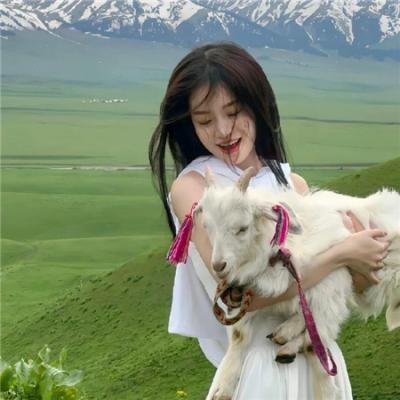 切斯纳特：中央公园的英雄
